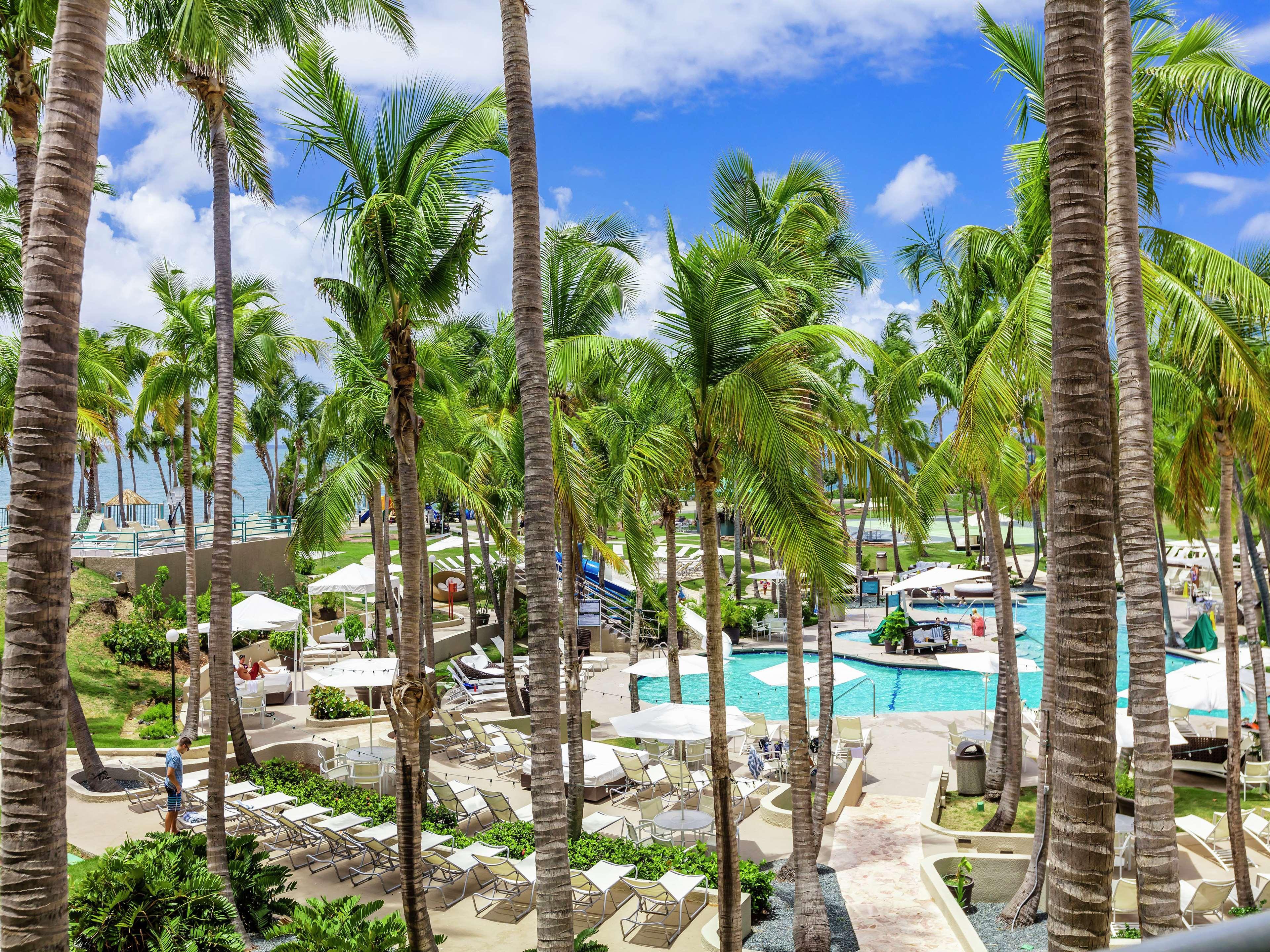 Hilton Ponce Golf & Casino Resort Εξωτερικό φωτογραφία